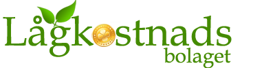Lågkostnadsbolaget