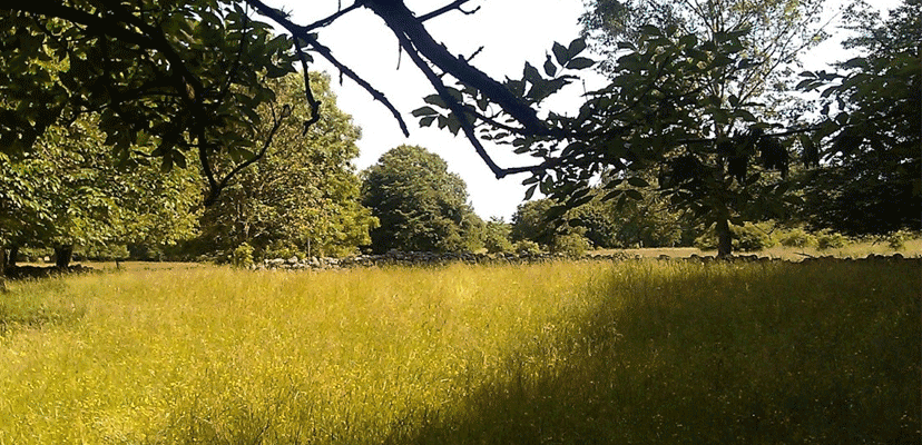 Slide background